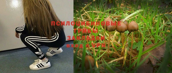 гашиш Балахна