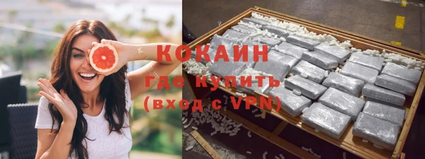 молекула духа Осташков