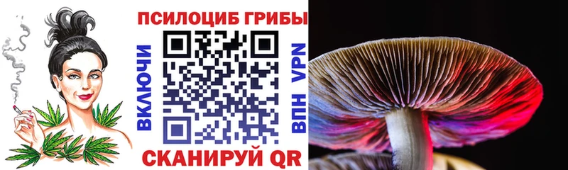 Псилоцибиновые грибы прущие грибы  Шебекино 